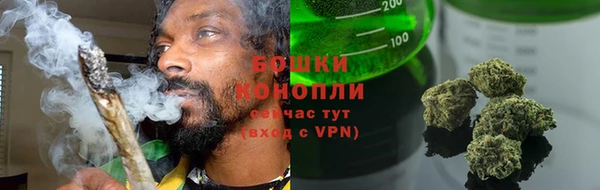 ПСИЛОЦИБИНОВЫЕ ГРИБЫ Губаха