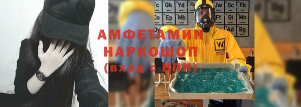 индика Богородицк