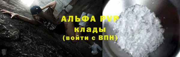 ПСИЛОЦИБИНОВЫЕ ГРИБЫ Губаха