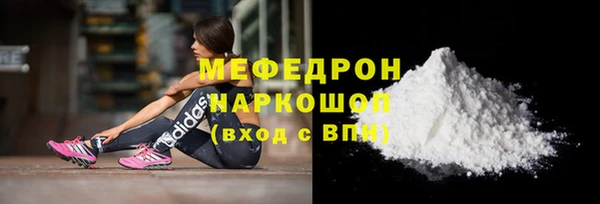 индика Богородицк
