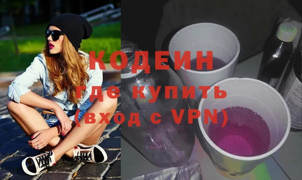 индика Богородицк