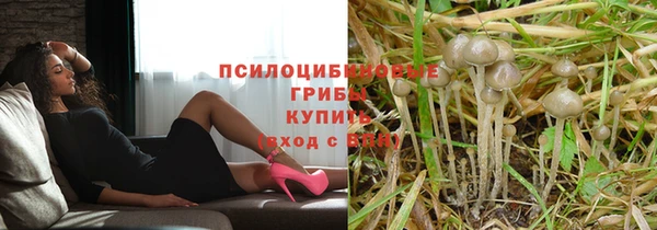СК Аркадак