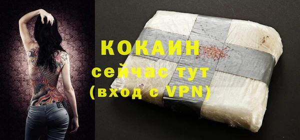 индика Богородицк
